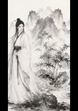玲珑禁魂